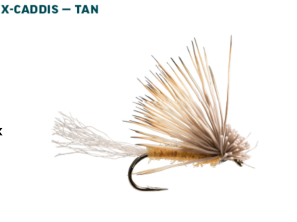 RIO Dry Fly Assortment Caddis Tan RIO Dry Fly Assortment Caddis Tan